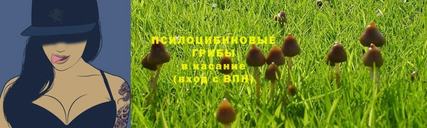 марки nbome Алексеевка